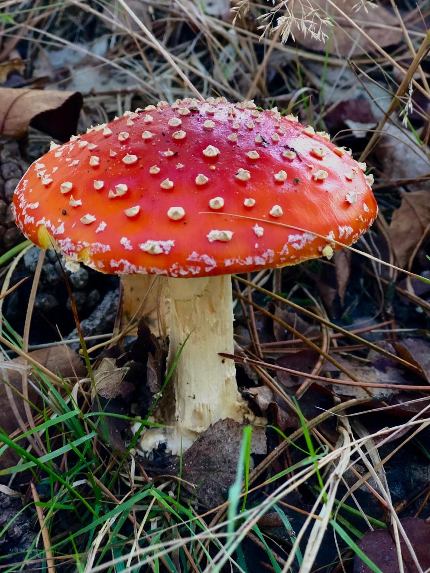 Het Natuurhuisje Op De Veluwe Nunspeet Exterior foto